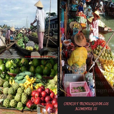 Productos Mínimamente Procesados 