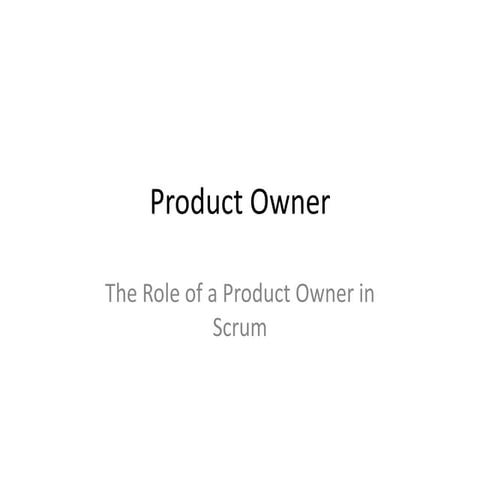 Product owner