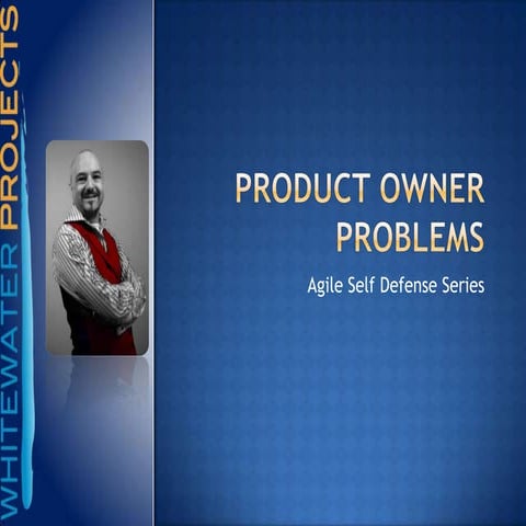 Product owner problems