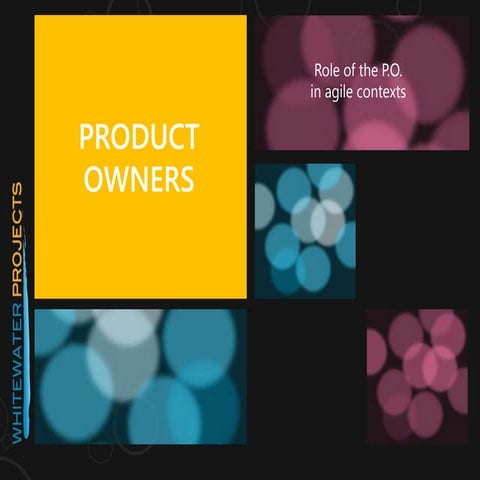 Role of the Product Owner in State Government Agility