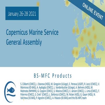 Product showcase mfc_bs