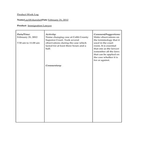 Product work log 03 01 | DOCX