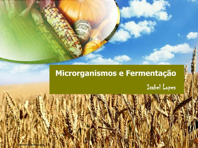 Microrganismos e Fermentação