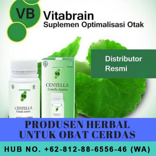 Produsen Vitamin Otak Vitabrain | PDF