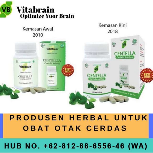 Perusahaan Sirup Vitamin Otak Untuk Anak Vitabrain | PPTX