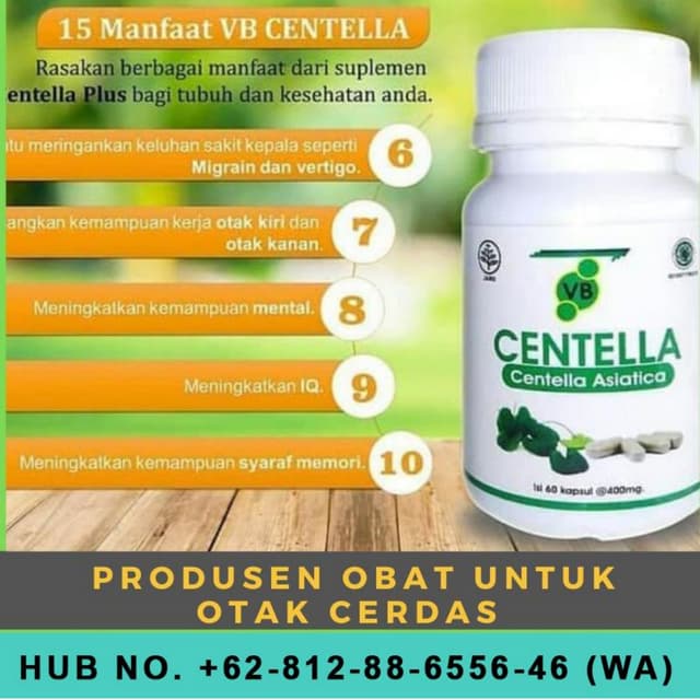 Produsen Vitamin Otak Vitabrain | PDF