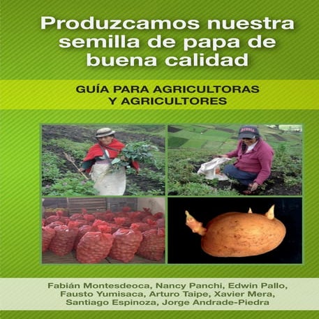 Produzcamos nuestra semilla de papa de buena calidad