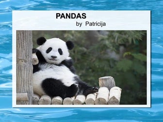 Panda_project_mindmaps_primaryschool.pdf