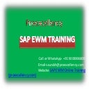 SAP EWM Online & Classroom Training By Proexcellency