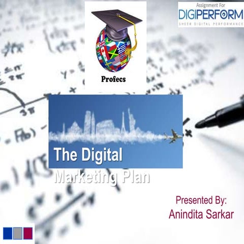 Digital Marketing Plan for Profecs education