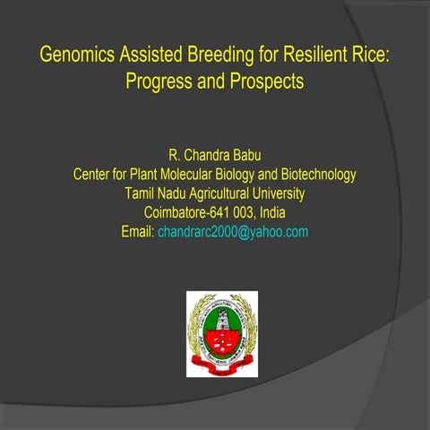 Genomics Assisted Breeding for Resilient Rice: Progress and Prospects