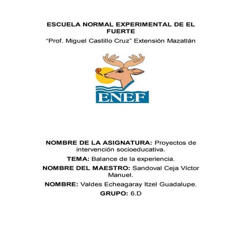 Balance de mi experiencia.