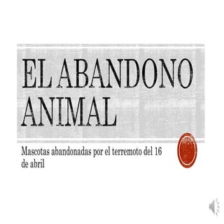 Mascotas - Portoviejo