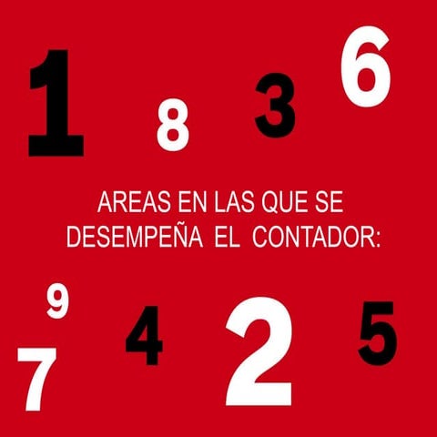 Profesional de la contaduria