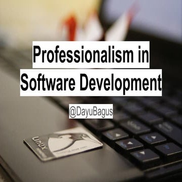 Profesionalism in software development