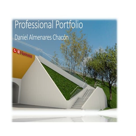 Profesional portafolio 2020