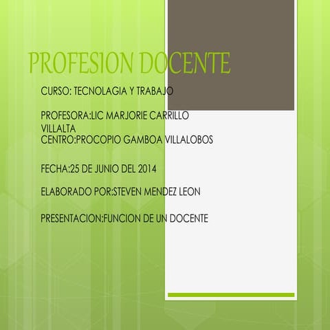 Profesion docente