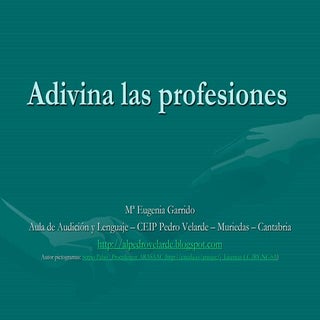 Profesiones