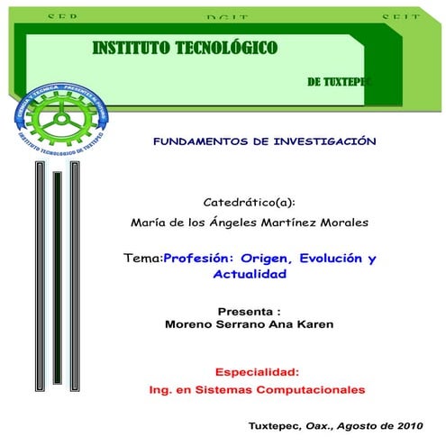 Profesion origenes evolucion y actualidad de la sistemas