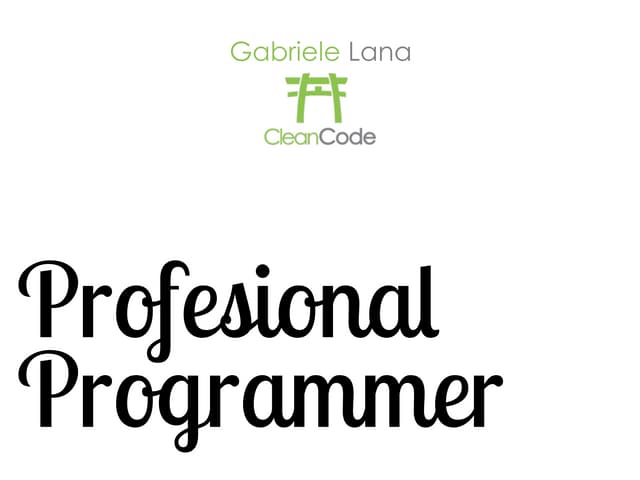 Professional Programmer (3 Years Later)