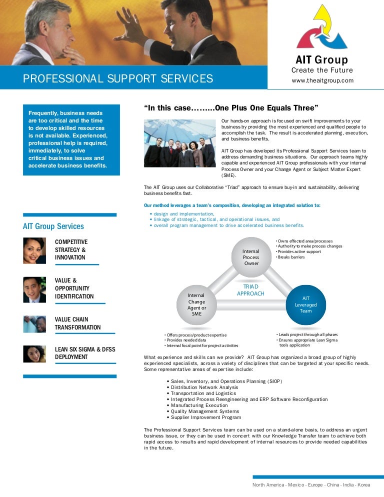 Professional Support Services