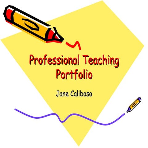 Professional Teaching Portfolio
