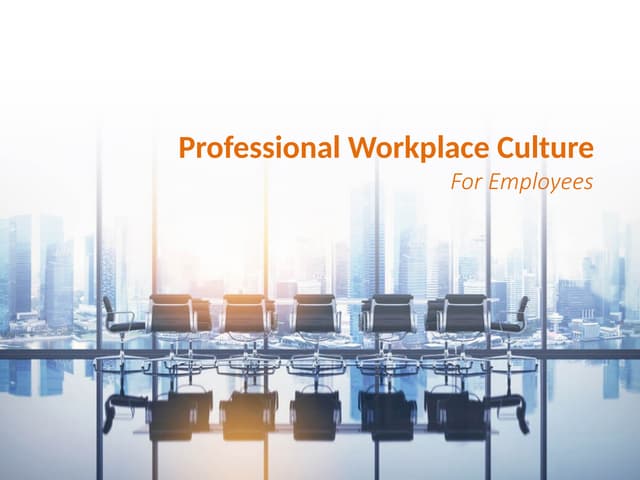 Professionalism in the work place | PDF