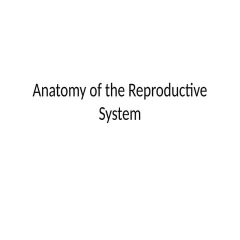 Comprehensive Anatomy and Physiology of the Human Reproductive System ...