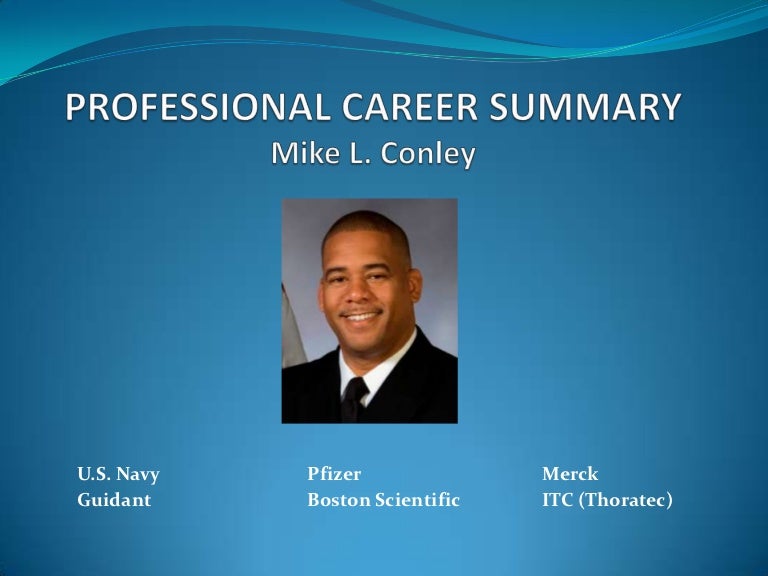 career summary for it professional