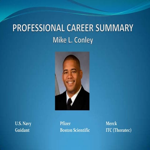 Professional career summary ppt