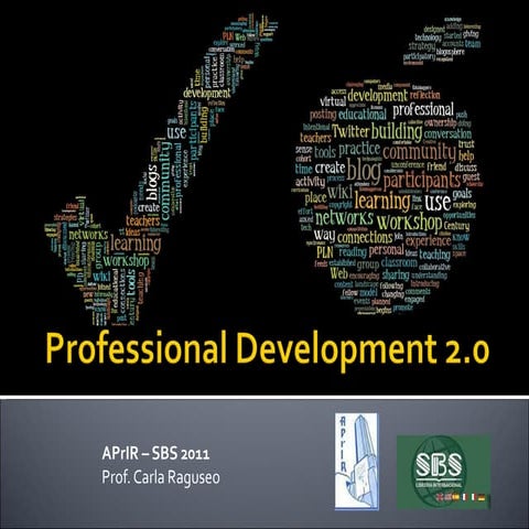 Professional development 2