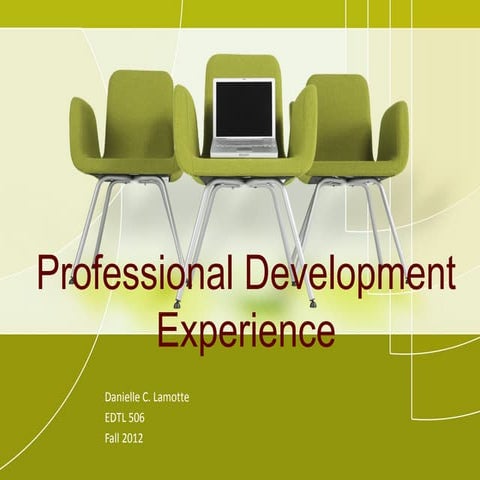 Professional Development Experience