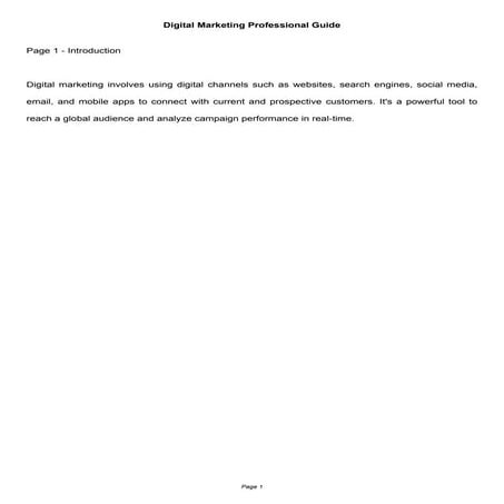 Professional_Digital_Marketing_Guide_8Pages.pdf