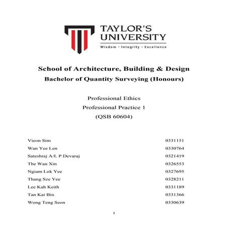 Professional Practice I (Group Assignment) - Professional Ethics