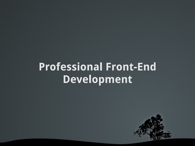 Professional Front End Development