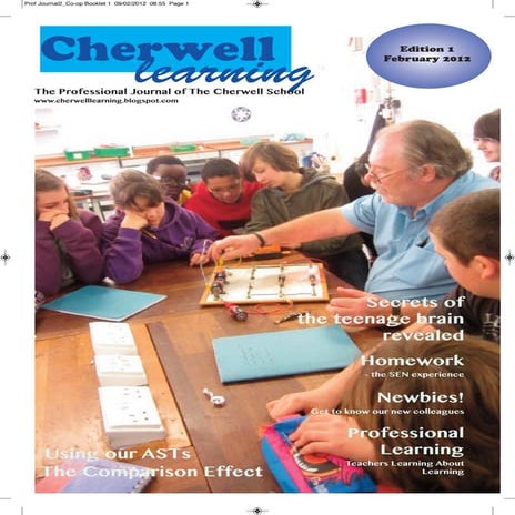 Professional journal final