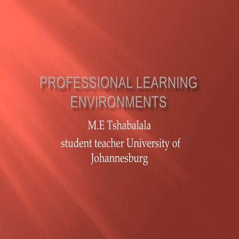 Professional learning environments2