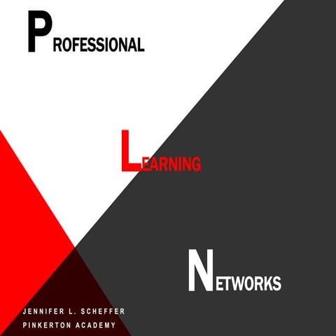 Professional learning networks j.scheffer