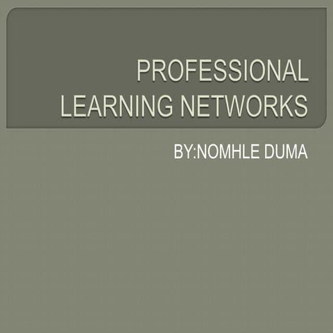 Professional  learning networks 3 a
