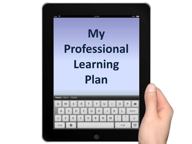 Professional Learning Plan 2014