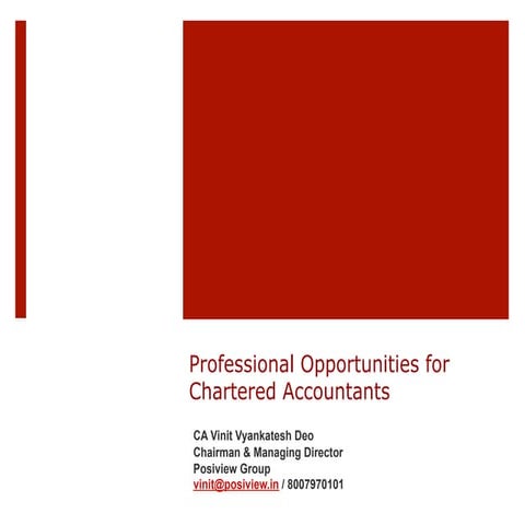 Professional Opportunities for CAs | PDF