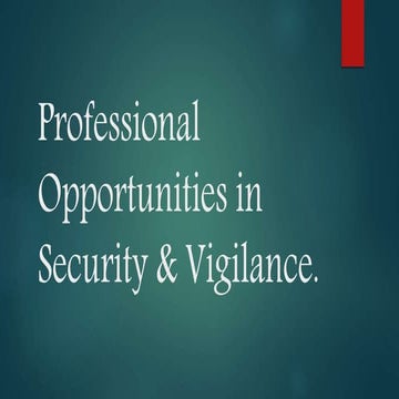 Professional opportunities in security &amp; vigilance