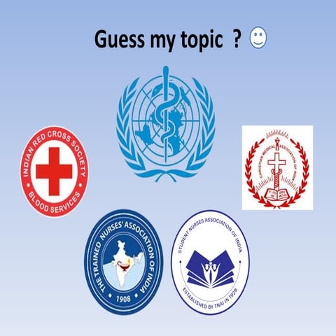 Professional organization.pptx