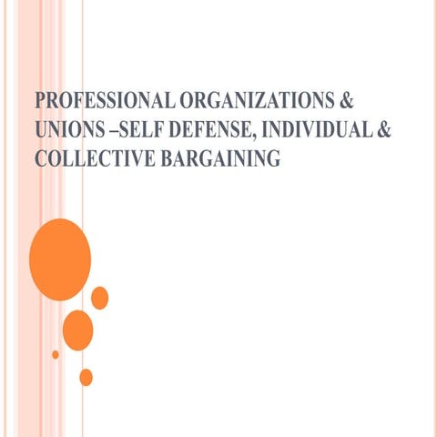 Professional organization   