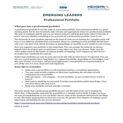 Professional portfolio 3