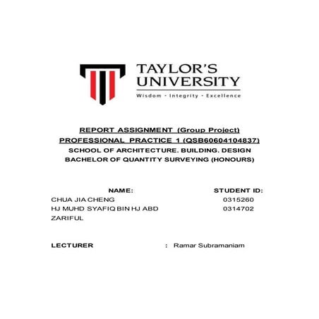 Professional practce assignment report