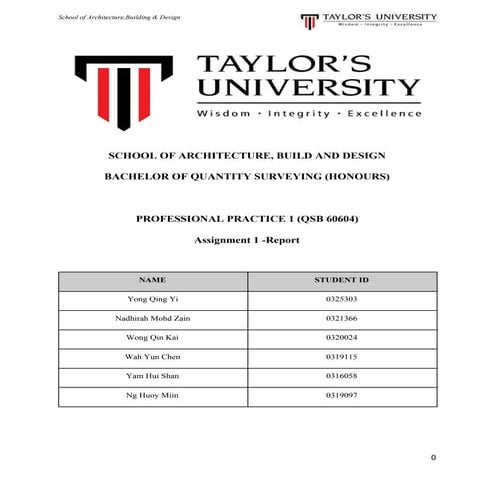 Professional practice 1 (1)