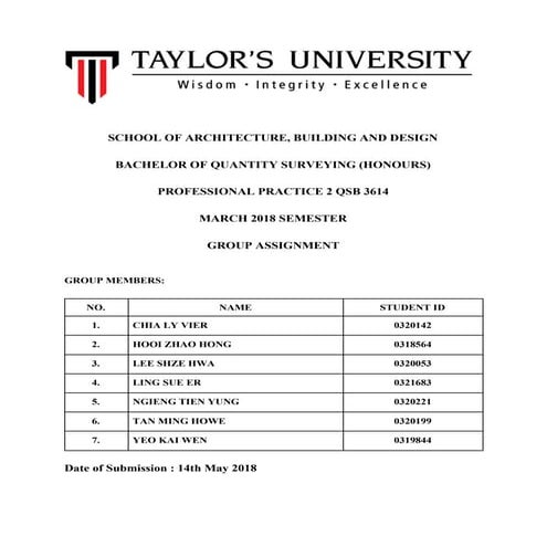 Professional practice 2