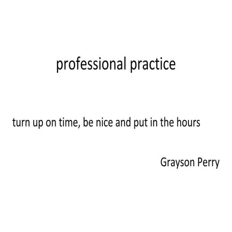Professional practice 2015
