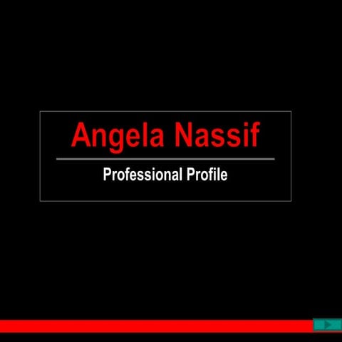 Professional Profile Presentation 